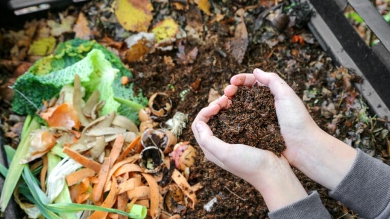 18 Composting Tips Every Beginner Needs to Turn Scraps into Garden Gold 2 18 Composting Tips Every Beginner Needs to Turn Scraps into Garden Gold - organic composting ss1912459132