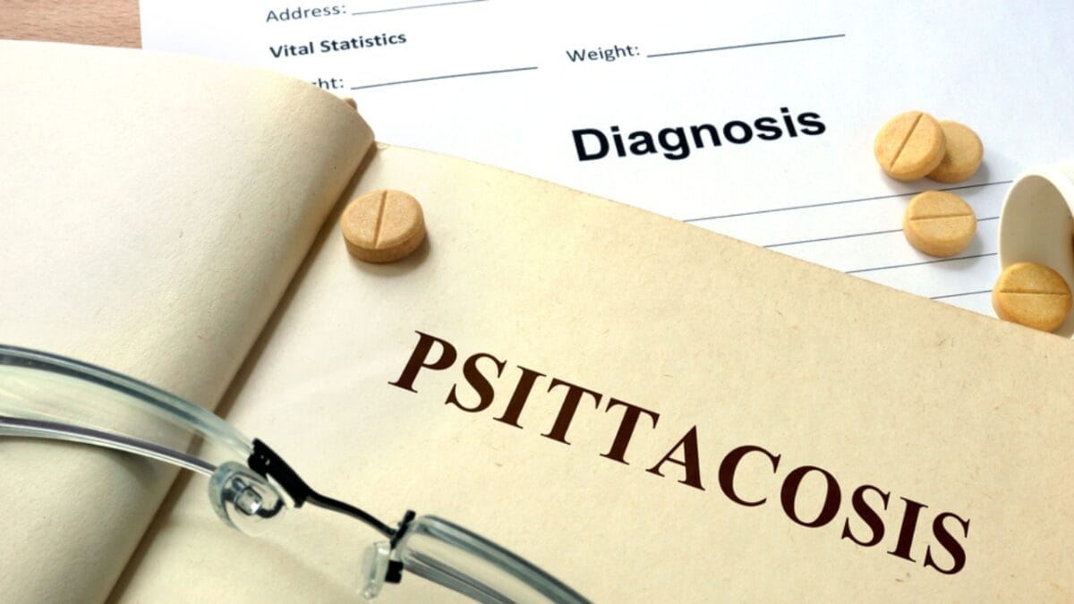 Deadly "Parrot Fever" Outbreak Strikes Europe - parrot fever ss304309718