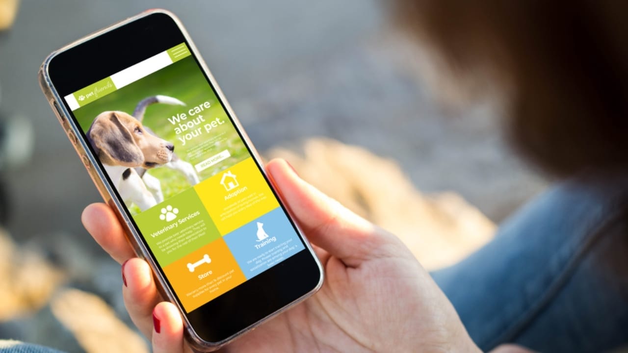 35 Fun Ways to Keep Your Dog Entertained Indoors - pet app ss1427639336