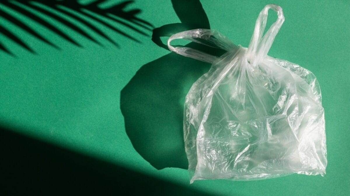 15 Household Hazards You Didn’t Know Could Harm Your Cat 14 15 Household Hazards You Didn’t Know Could Harm Your Cat - plastic bag ss2272533865