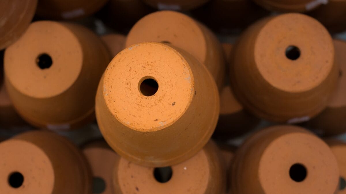 10 Tomato Growing No-Nos for Container Gardening 10 10 Tomato Growing No-Nos for Container Gardening - pots ss1067185319