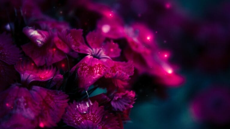 12 Awe-Inspiring Flowers That Bloom Under the Stars at Night 6 12 Awe-Inspiring Flowers That Bloom Under the Stars at Night - purple flower ss1461234776