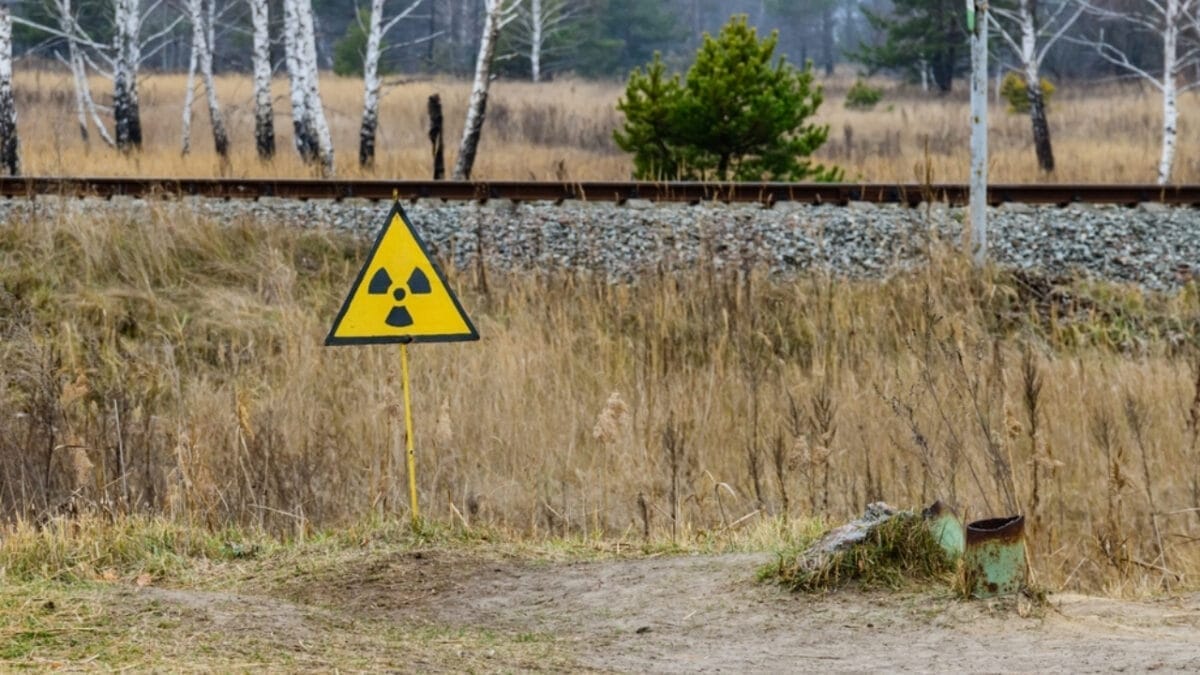 Chernobyl's Songbirds Expose the Effects of Nuclear Radiation on Animals, According to Study 5 Chernobyl's Songbirds Expose the Effects of Nuclear Radiation on Animals, According to Study - radiation sign ss2470268475