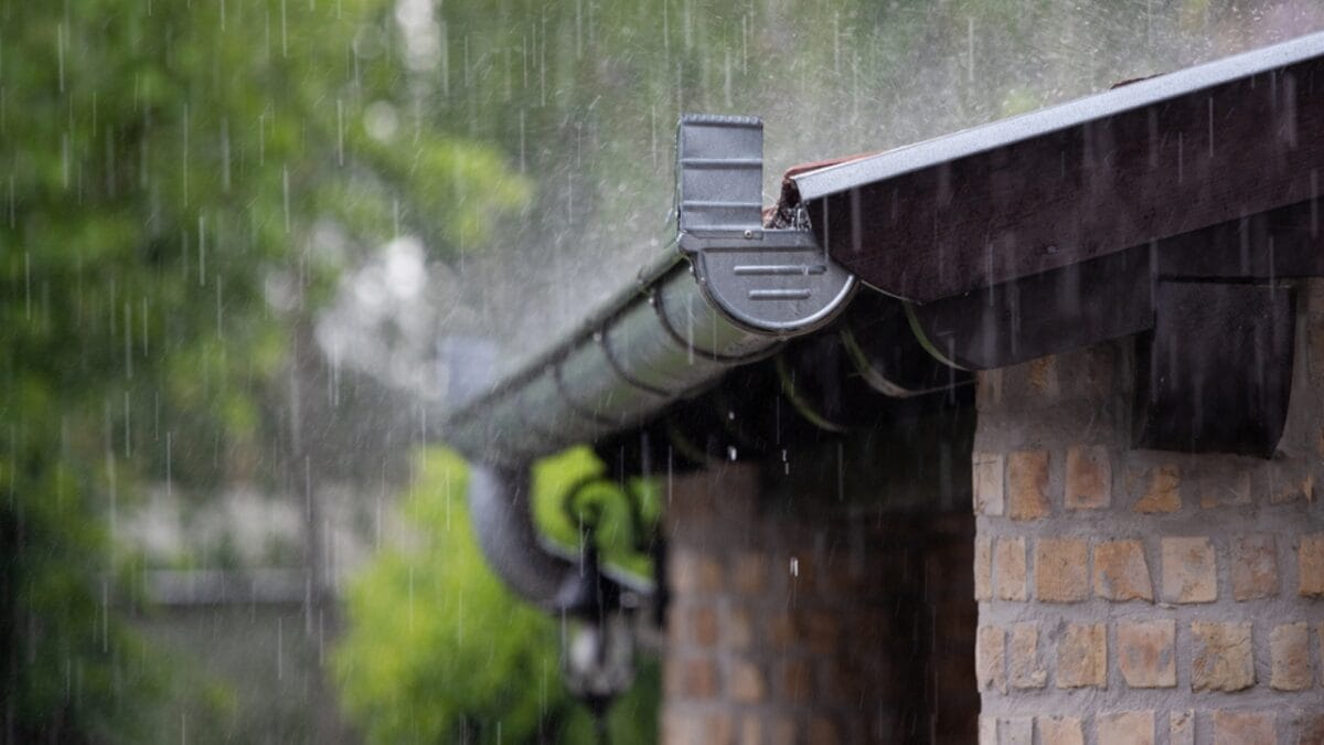 5 States Where Collecting Rainwater Might Get You in Trouble with the Law 10 5 States Where Collecting Rainwater Might Get You in Trouble with the Law - rainy ss1987818464