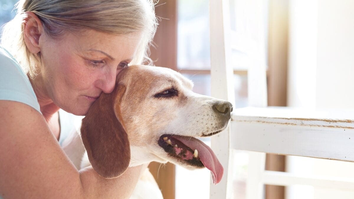 New Study Finds Petting Your Dog Before Leaving Can Reduce Separation Anxiety 5 New Study Finds Petting Your Dog Before Leaving Can Reduce Separation Anxiety - senior dog woman dp72072007