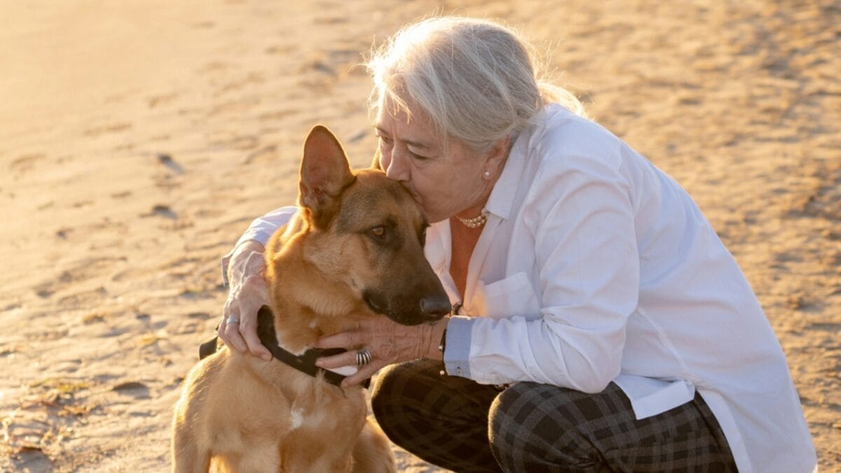 10 Ways Our Dogs School Us on Living Life 5 10 Ways Our Dogs School Us on Living Life - senior dog loyal dp245827724