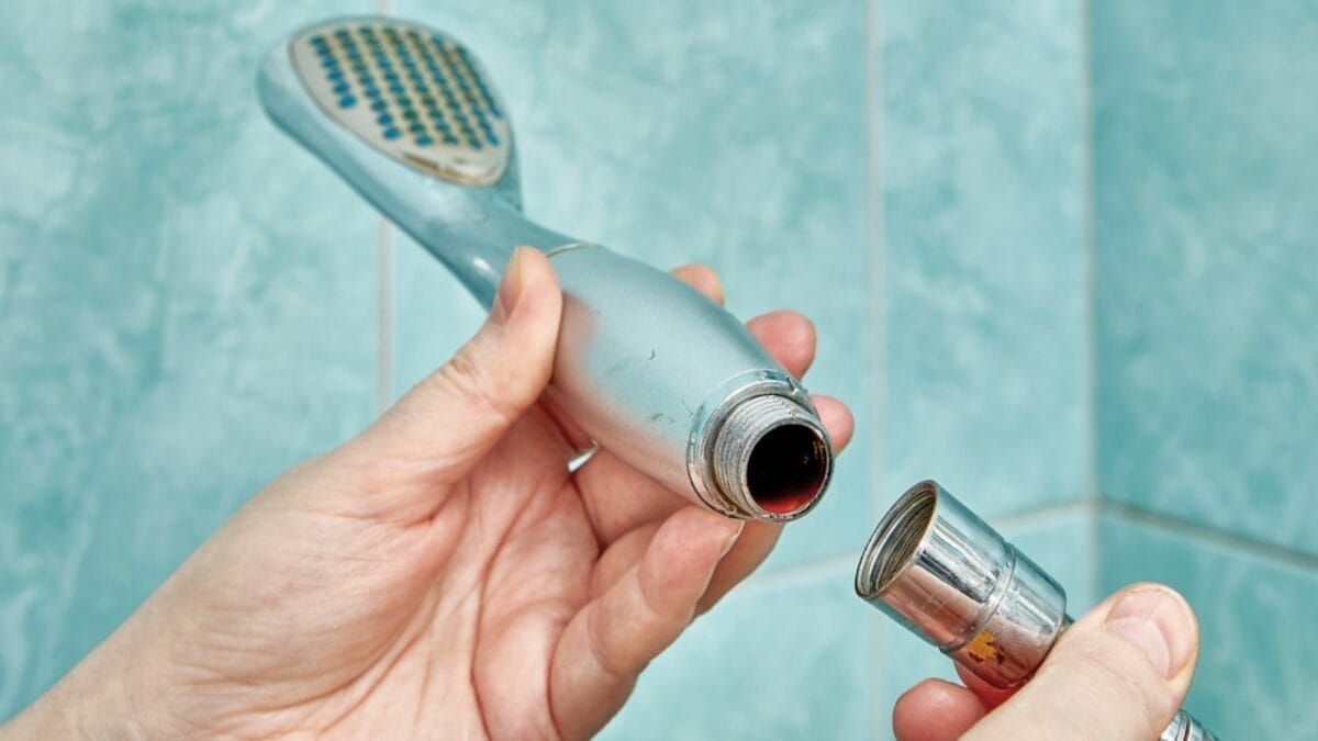 10 Easy Steps to a Sparkling Clean Shower Head 3 10 Easy Steps to a Sparkling Clean Shower Head - shower head ss1970752607