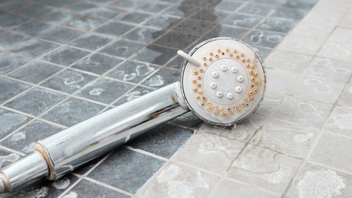 10 Easy Steps to a Sparkling Clean Shower Head 7 10 Easy Steps to a Sparkling Clean Shower Head - shower rinse ss2281256459