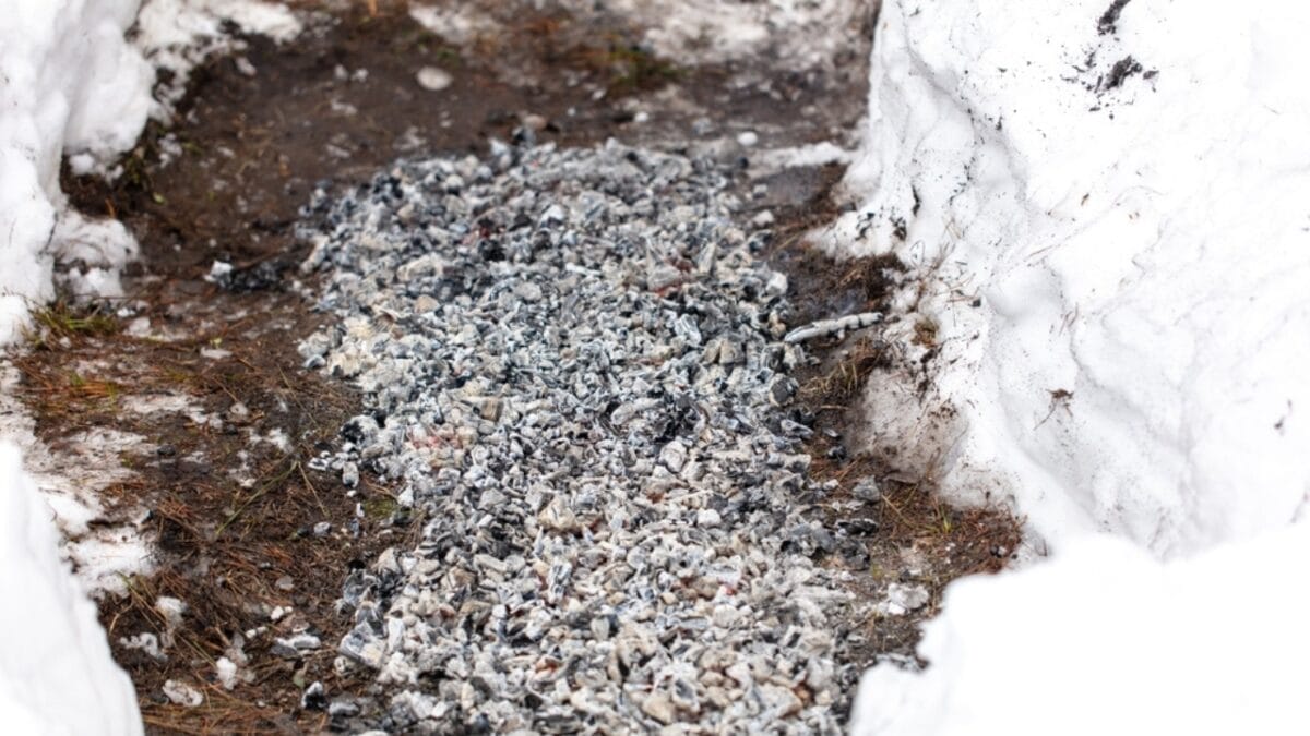 25 Useful Ways to Put Wood Ash to Work 11 25 Useful Ways to Put Wood Ash to Work - snow ash wood ss2427140601