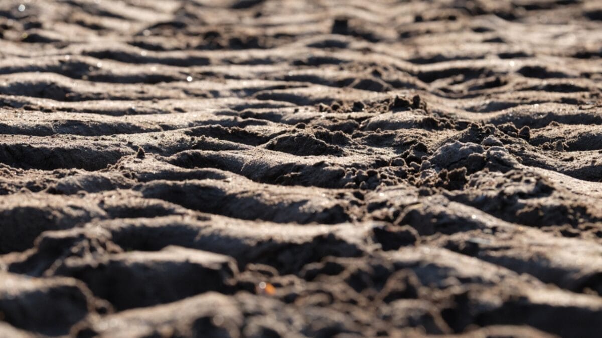 13 Steps in Leveling a Yard by Hand: Tools, Tips & Best Practices 14 13 Steps in Leveling a Yard by Hand: Tools, Tips & Best Practices - soil compaction ss1205286697