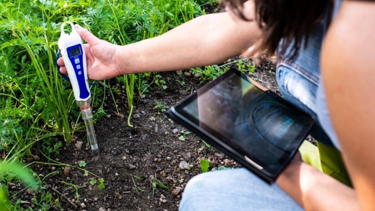10 Things Only Expert Vegetable Growers Know for Thriving Gardens 4 10 Things Only Expert Vegetable Growers Know for Thriving Gardens - testing soil ss1466055791