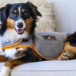 ThunderShirt for Dogs - Dog Anxiety Relief Calming Vest