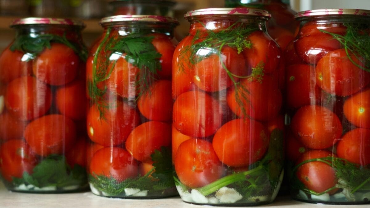 Tomato Seed Saving 101: How to Preserve Your Favorite Varieties for Next Season 5 Tomato Seed Saving 101: How to Preserve Your Favorite Varieties for Next Season - tomatoes dp80473366