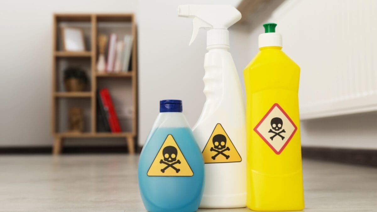 15 Household Hazards You Didn’t Know Could Harm Your Cat 4 15 Household Hazards You Didn’t Know Could Harm Your Cat - toxic household chemical dp614250800