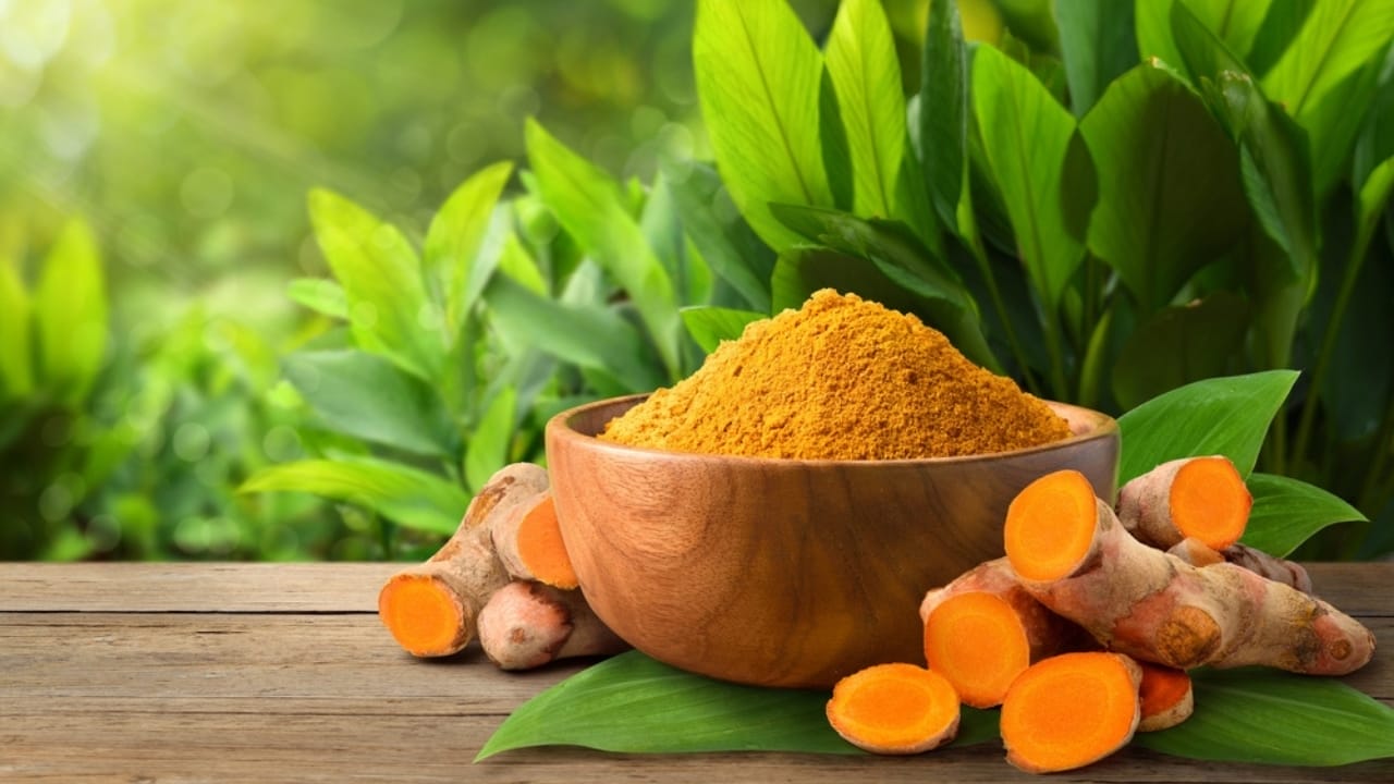 15 Medicinal Plants to Grow at Home for Everyday Use 17 15 Medicinal Plants to Grow at Home for Everyday Use - turmeric ss2327023383