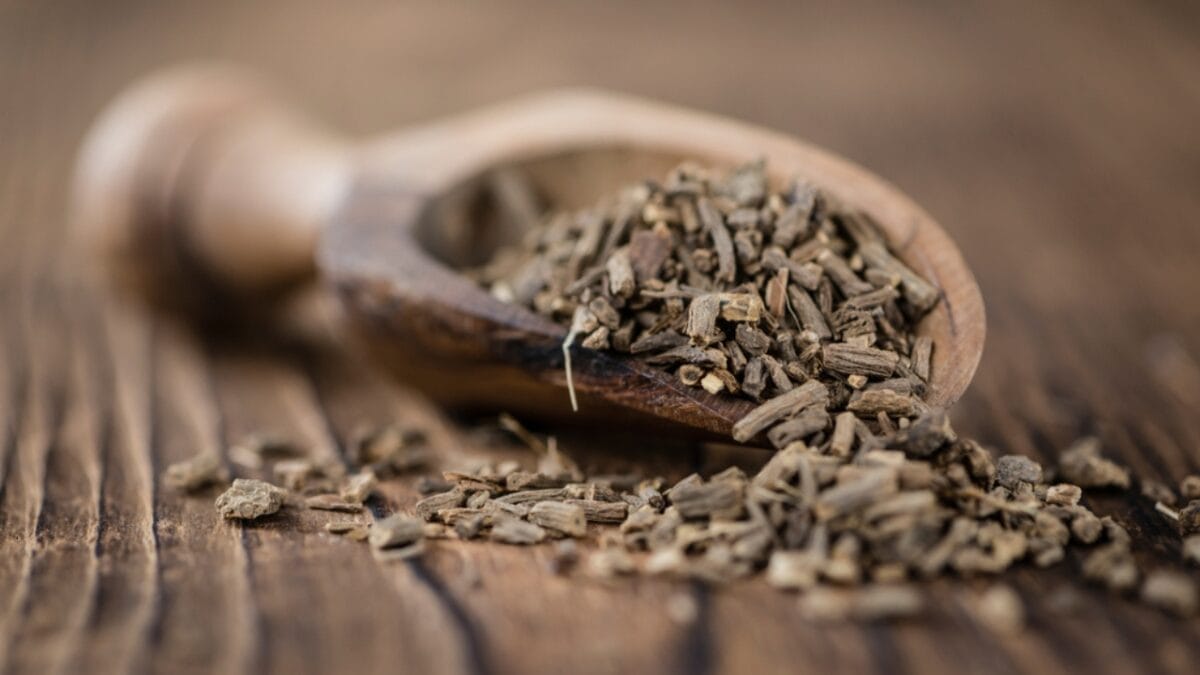 15 Plant-Based Remedies to Manage ADHD Symptoms 12 15 Plant-Based Remedies to Manage ADHD Symptoms - valerian root dp127440728