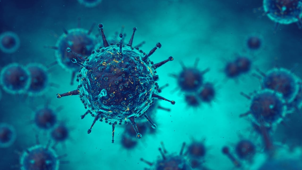 First Case of Fatal 'Staggering Disease' Found in Colorado Mountain Lion 3 First Case of Fatal 'Staggering Disease' Found in Colorado Mountain Lion - virus ss227460949