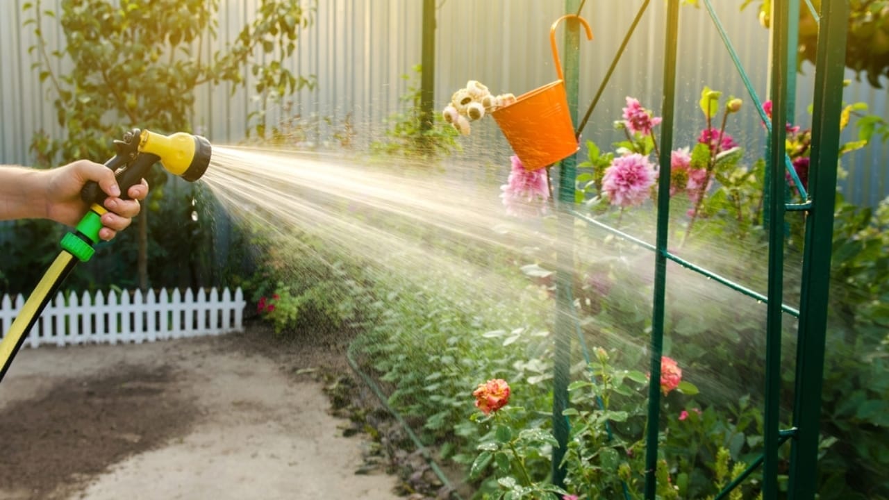 15 Garden Watering Mistakes That are Killing Your Plants 14 15 Garden Watering Mistakes That are Killing Your Plants - water for irrigation ss2043922064