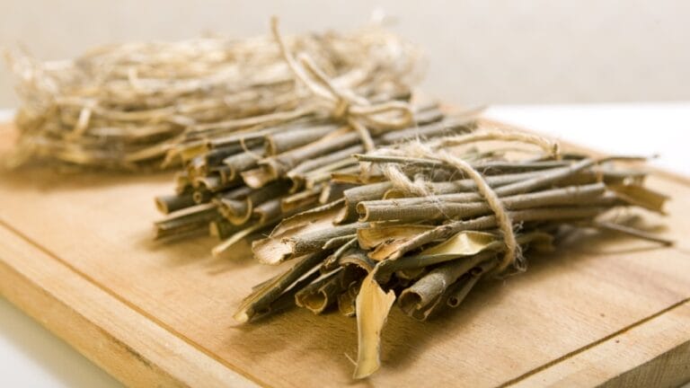 Crafting Aspirin from Willow Bark: An Ancient Pain Relief Remedy 9 Crafting Aspirin from Willow Bark: An Ancient Pain Relief Remedy - willow bark plant ss194972453