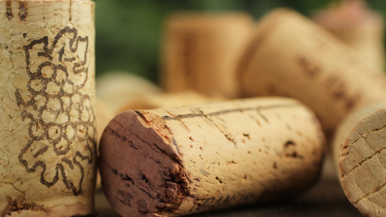 10 Creative Ways Gardeners Can Reuse Wine Corks 11 10 Creative Ways Gardeners Can Reuse Wine Corks - wine cork fence ss104080532