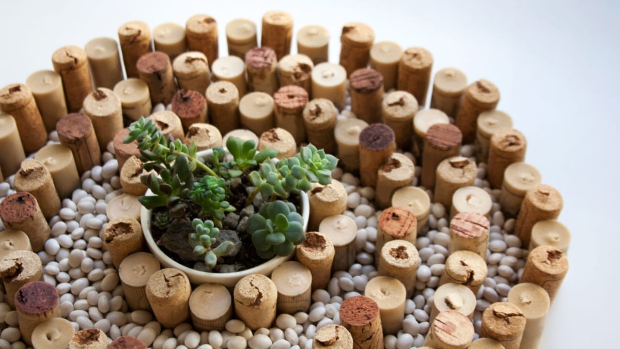 10 Creative Ways Gardeners Can Reuse Wine Corks 9 10 Creative Ways Gardeners Can Reuse Wine Corks - wine cork garden ss1183916035