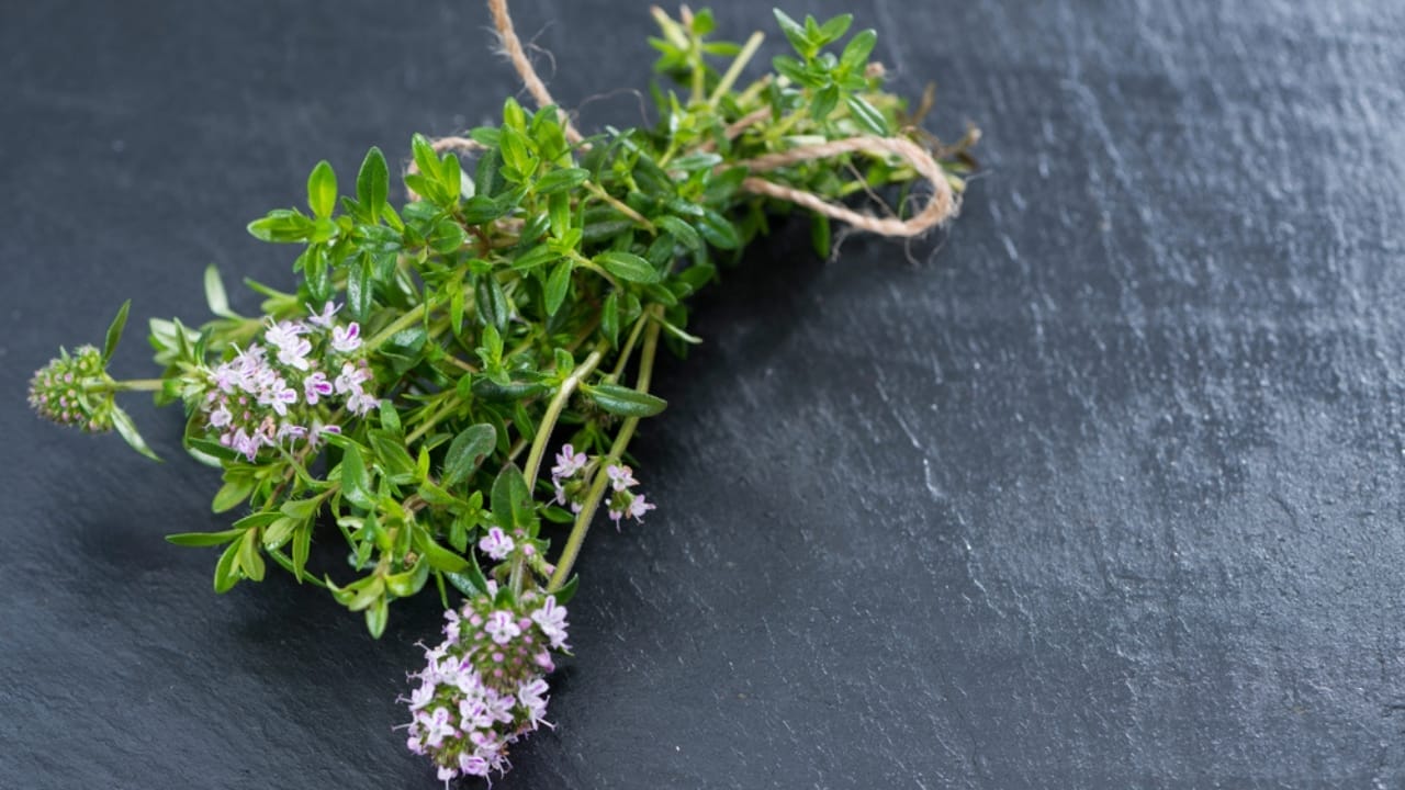 20 Herbs That Keep Giving: Grow Them Once, Enjoy Them for Years 16 20 Herbs That Keep Giving: Grow Them Once, Enjoy Them for Years - winter savory dp45268361