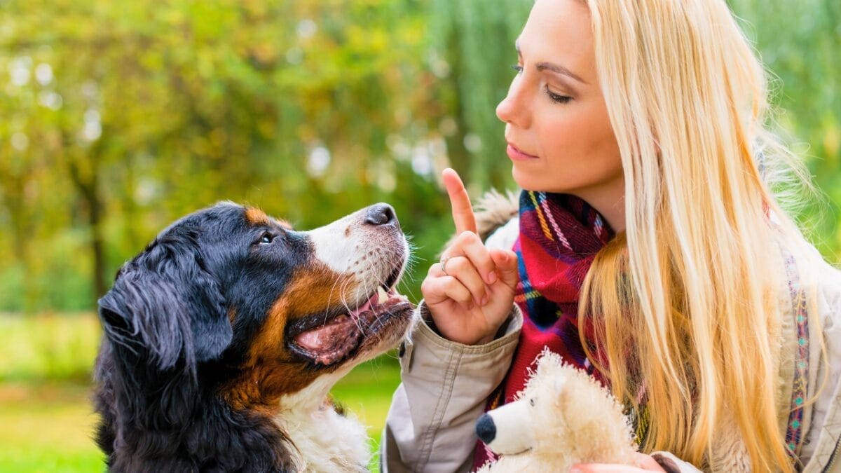 Why We Feel So Connected to Dogs: A Look at the Science of Human-Canine Relationships - woman dog training dp139241950