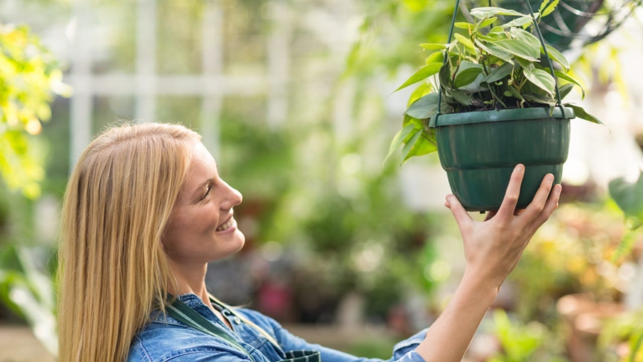 10 Ways to Banish Squirrels & Protect Your Potted Plants 6 10 Ways to Banish Squirrels & Protect Your Potted Plants - woman hanging plants dp114914218