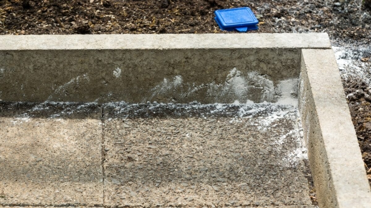 25 Useful Ways to Put Wood Ash to Work 12 25 Useful Ways to Put Wood Ash to Work - wood ash with ants ss2327376059