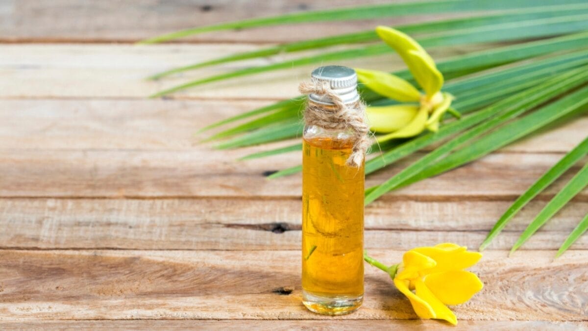 15 Spa-Worthy Scents to Transform Your Bathroom into a Serene Oasis 15 15 Spa-Worthy Scents to Transform Your Bathroom into a Serene Oasis - ylang ylang dp317918044