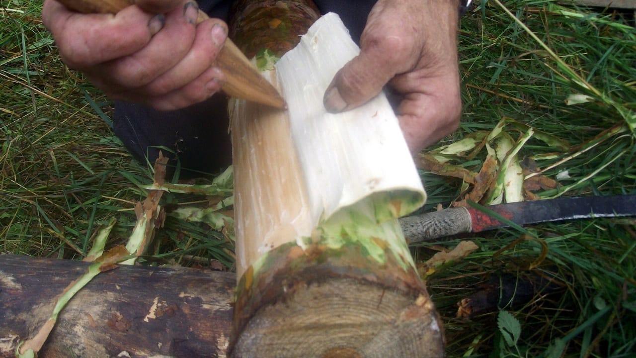 10 Unheard-of Foods That Became Lifesavers During Famine & Shortages 3 10 Unheard-of Foods That Became Lifesavers During Famine & Shortages - Bark bread wc