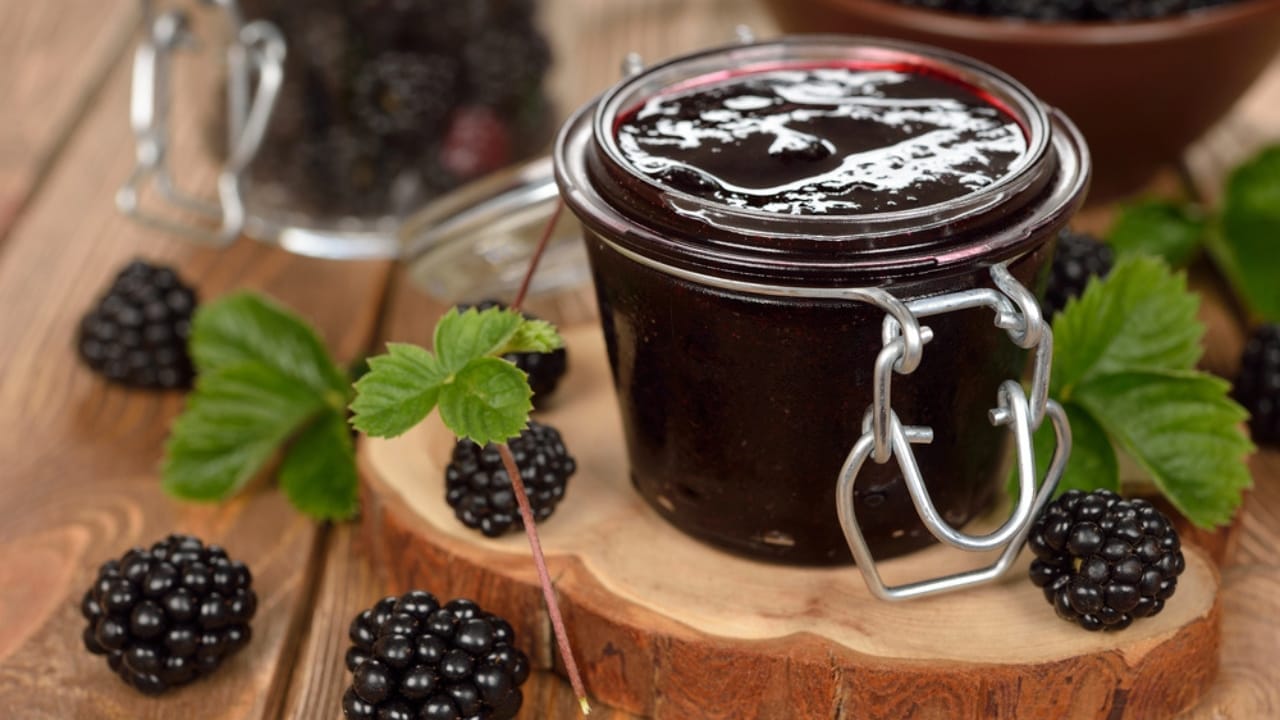 The Sweet & Versatile Wojapi Sauce: A Hidden Gem of Native American History 4 The Sweet & Versatile Wojapi Sauce: A Hidden Gem of Native American History - Blackberry dp79544000