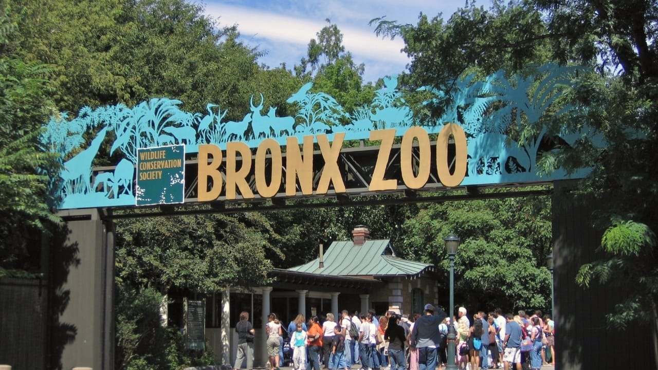America's Wildlife Wonderlands: The 13 Largest Zoos to Explore -