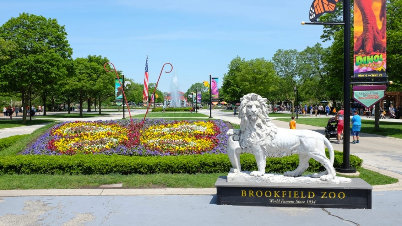 America's Wildlife Wonderlands: The 13 Largest Zoos to Explore 9 America's Wildlife Wonderlands: The 13 Largest Zoos to Explore - Brookfield Zoo ss1926234596