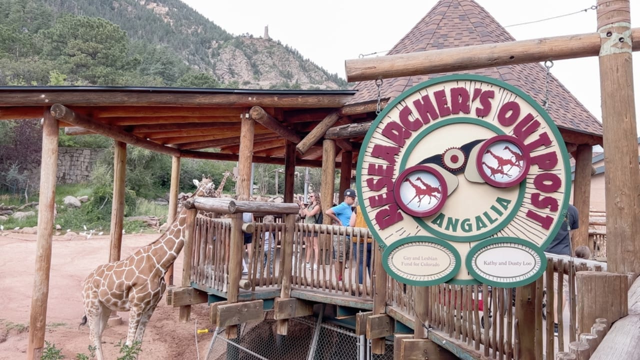 America's Wildlife Wonderlands: The 13 Largest Zoos to Explore - Cheyenne Mountain Zoo dp683984514