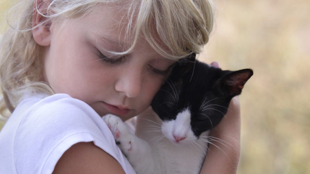 15 Unique Traits That Set Kittens Apart from Adult Cats - Child hugging cat dp19018025