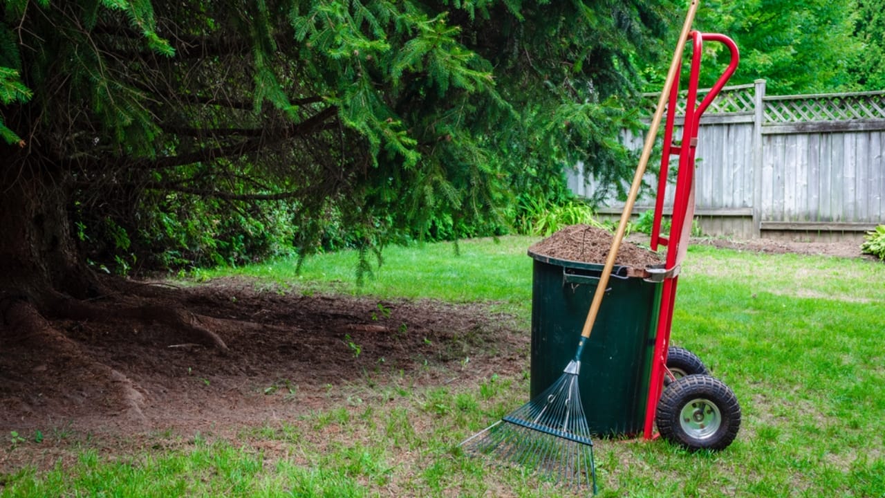 Nature's Ant-idotes: 14 Simple Ways to Get Rid of Ants Outside Naturally 15 Nature's Ant-idotes: 14 Simple Ways to Get Rid of Ants Outside Naturally - Clean yard dp365113398