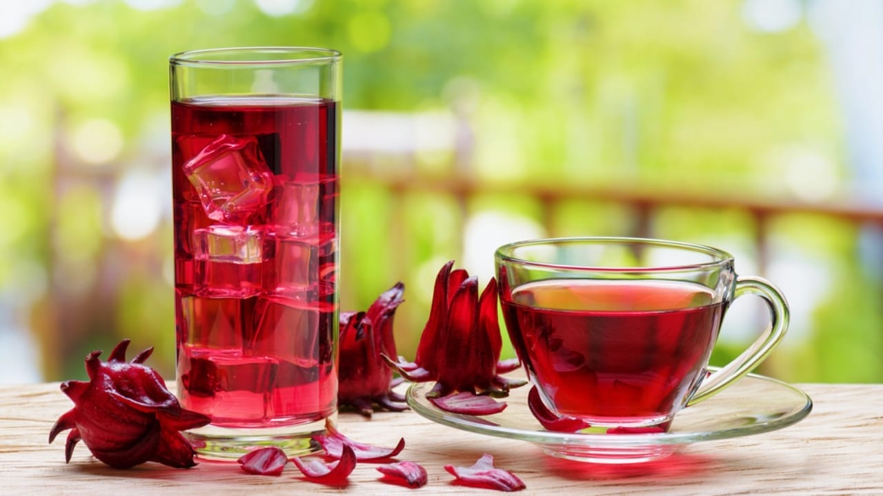 12 Easy Tricks for Thriving Hibiscus Plants - Cold and hot of hibiscus tea dp110059792