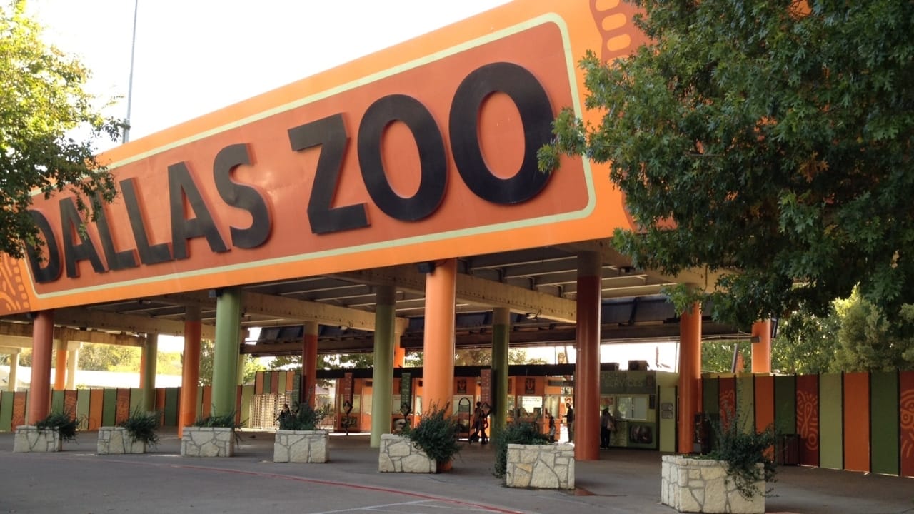 America's Wildlife Wonderlands: The 13 Largest Zoos to Explore 11 America's Wildlife Wonderlands: The 13 Largest Zoos to Explore - Dallas Zoo wc
