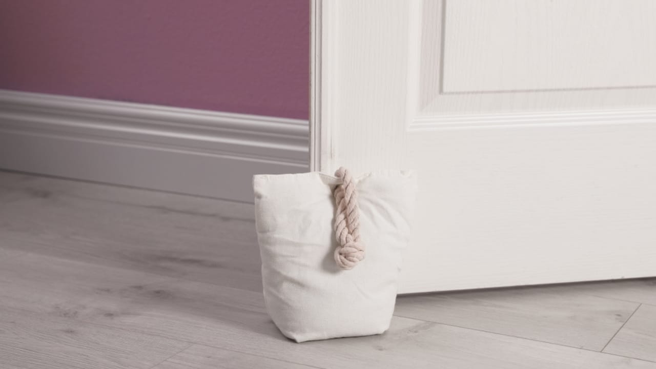 Old Socks, New Purpose: 20 Clever Ways to Reuse Them 22 Old Socks, New Purpose: 20 Clever Ways to Reuse Them - Door stopper ss1205713321 1