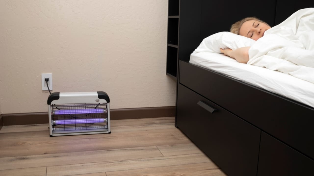 Don’t Just Repel Stink Bugs—Here’s Why You Need to Eliminate Them - Electric mosquito insect bug killer woman sleeping ss2431891101