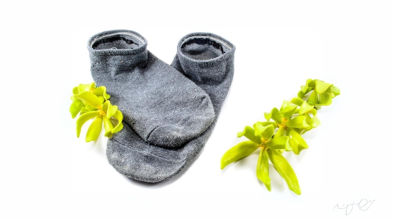 Old Socks, New Purpose: 20 Clever Ways to Reuse Them 16 Old Socks, New Purpose: 20 Clever Ways to Reuse Them - Flowers and socks dp79093440