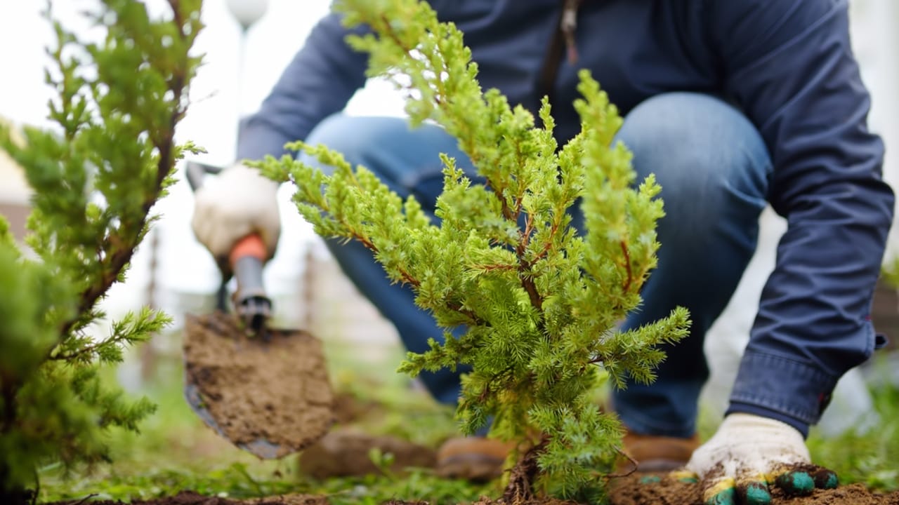 How to Grow More with Less: 12 Permaculture Principles for a Low-Maintenance Garden 3 How to Grow More with Less: 12 Permaculture Principles for a Low-Maintenance Garden - Gardener planting plans ss1755992480