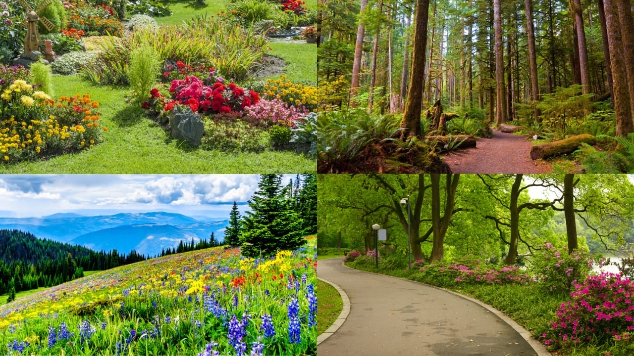 The Secret to Attracting Hummingbird Moths for a Beautiful Backyard Display 4 The Secret to Attracting Hummingbird Moths for a Beautiful Backyard Display - Gardens dp31726279 and Meadows dp318330656 and woodland dp87627464 and parks dp12178152