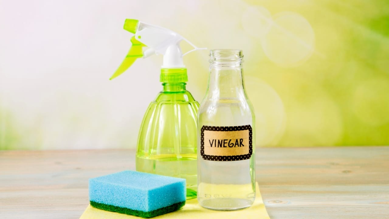 18 Simple Ways to Keep Your Home Smelling Fresh & Inviting 3 18 Simple Ways to Keep Your Home Smelling Fresh & Inviting - Harness the power of vinegar dp356995320