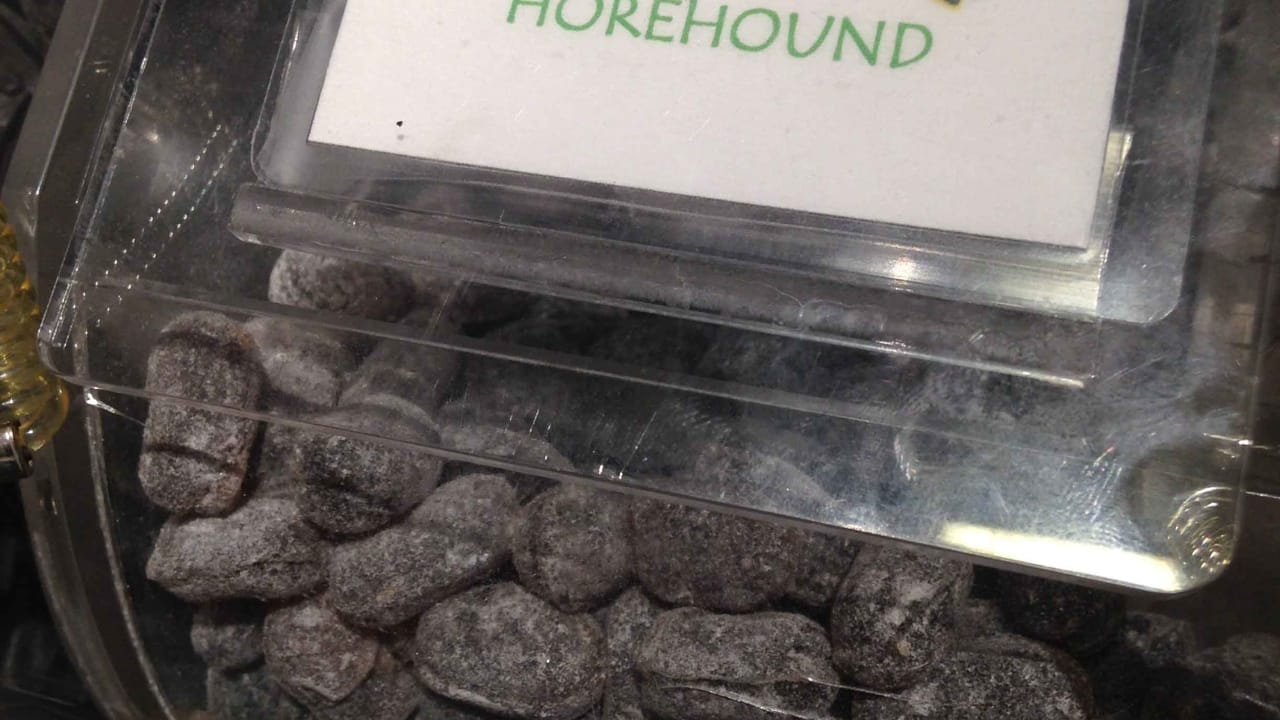 20 Herbs That Keep Giving: Grow Them Once, Enjoy Them for Years 21 20 Herbs That Keep Giving: Grow Them Once, Enjoy Them for Years - Horehound Candy wc