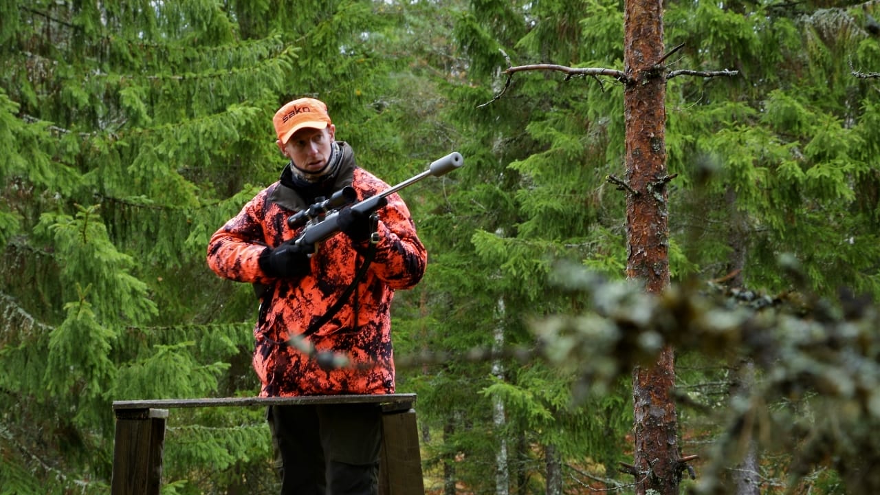 10 Differences Between Red & White Oak Trees for Smarter Deer Hunting 8 10 Differences Between Red & White Oak Trees for Smarter Deer Hunting - Hunter wc