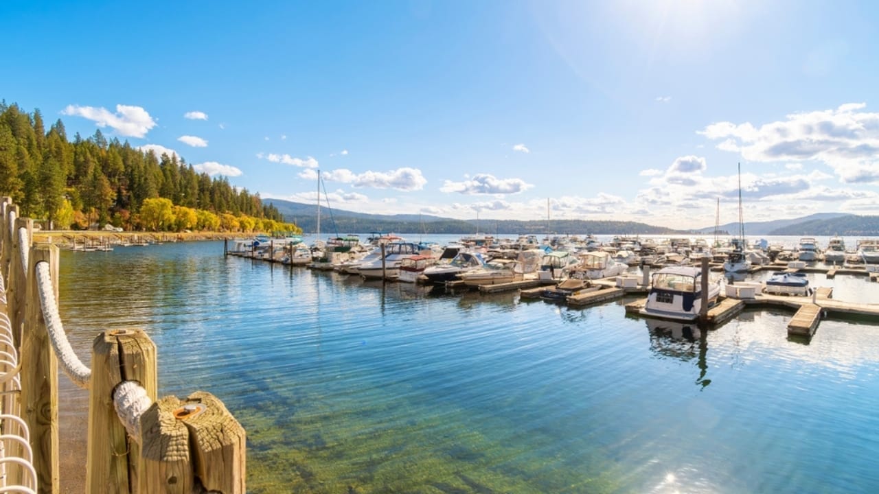 50 of the Best Dog-Friendly Hotels in the U.S. 13 50 of the Best Dog-Friendly Hotels in the U.S. - Idaho The Coeur dAlene Resort ss2494443695