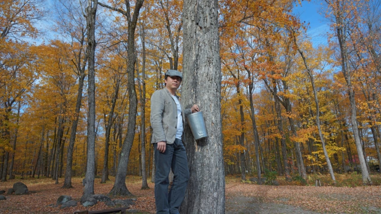 Tapping into Nature's Sweetness: 23 Trees That Produce Unique Syrups 17 Tapping into Nature's Sweetness: 23 Trees That Produce Unique Syrups - Man collecting maple syrup ss1378455233