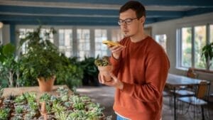 10 Alarming Facts About the Houseplant Black Market Threatening Plant Survival - Man taking picture of succulents plants at flower shop ss2407796935